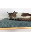 Cat's Atelier Cat Shelf | The Cozy Nook 75 cm