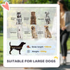 PawHut 210V Shock Absorbing Large Pet Stroller