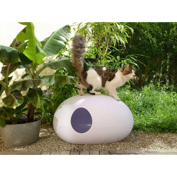 Design Cat Litter Box-Cat Litter Box-SinDesign- Silver Circle Pets