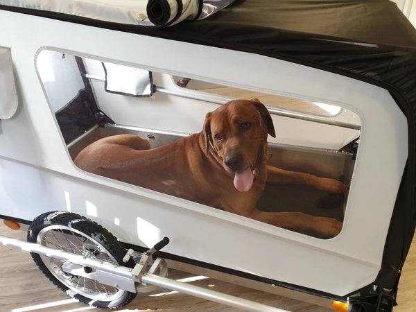 Doggy Tourer Beethoven XL Dog Bike Trailer-Dog Bike Trailer-Doggy Tourer- Silver Circle Pets