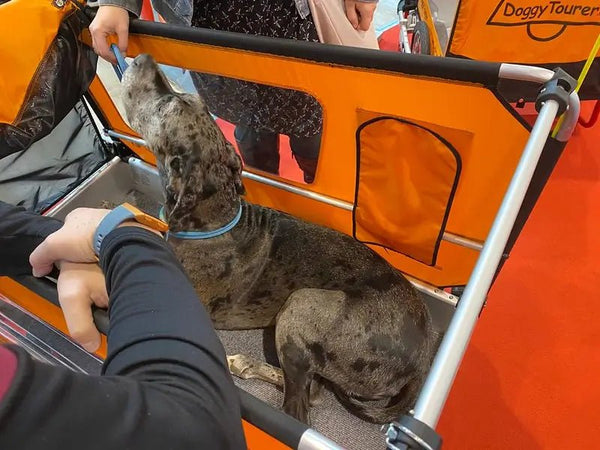Doggy Tourer Beethoven XL Dog Bike Trailer-Dog Bike Trailer-Doggy Tourer- Silver Circle Pets