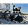 Doggy Tourer Boomer X Dog Bike Trailer-Dog Bike Trailer-Doggy Tourer- Silver Circle Pets