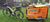 DoggyTourer - Beethoven XL Dog Bike Trailer - Orange - Silver Circle Pets