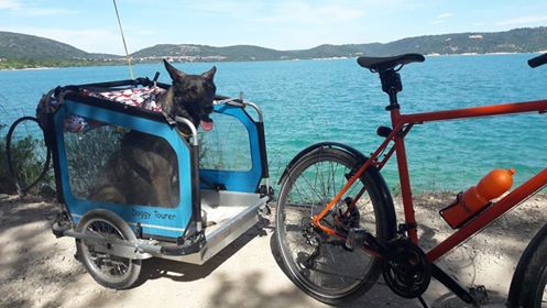 Doggy Tourer Marley Large Dog Bike Trailer-Dog Bike Trailer-Doggy Tourer- Silver Circle Pets