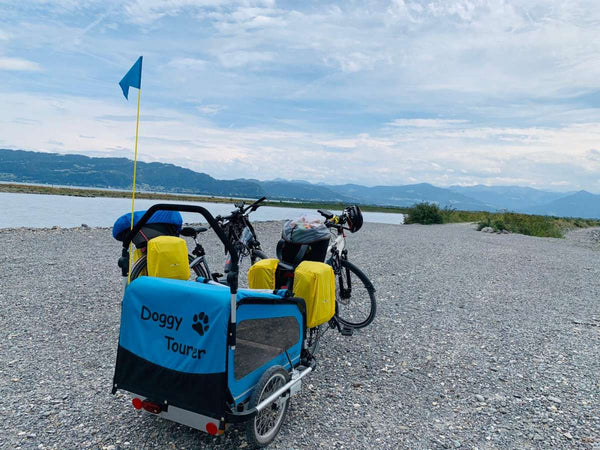Doggy Tourer Snoopy Medium Dog Bike Trailer-Dog Bike Trailer-Doggy Tourer- Silver Circle Pets