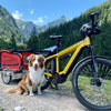 Doggy Tourer Snoopy Medium Dog Bike Trailer-Dog Bike Trailer-Doggy Tourer- Silver Circle Pets