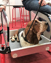 Doggy Tourer Snoopy Medium Dog Bike Trailer-Dog Bike Trailer-Doggy Tourer- Silver Circle Pets