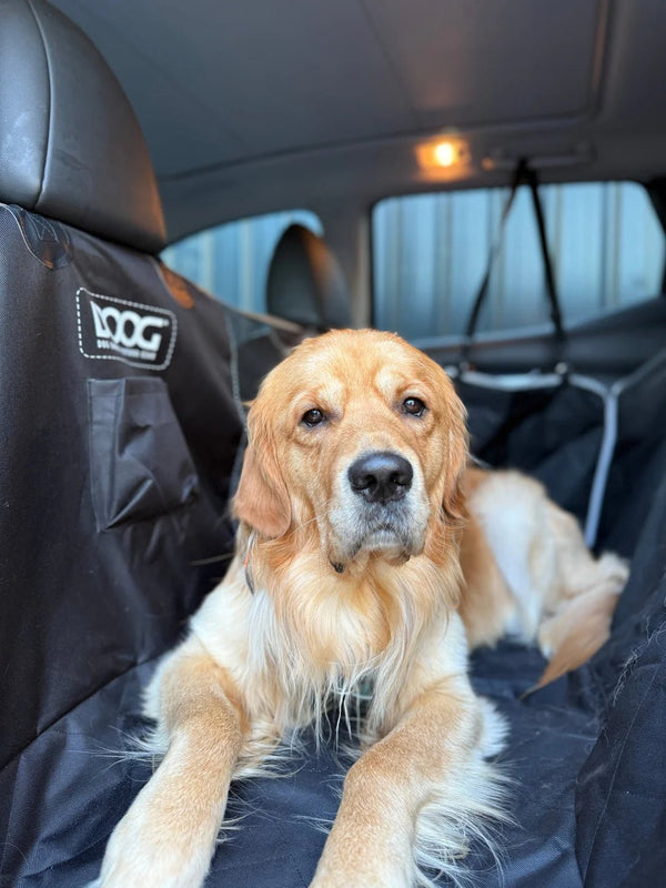 DOOG Dog Car Seat Cover | Rear Bench Seat | Large-Dog Car Seat-DOOG- Silver Circle Pets