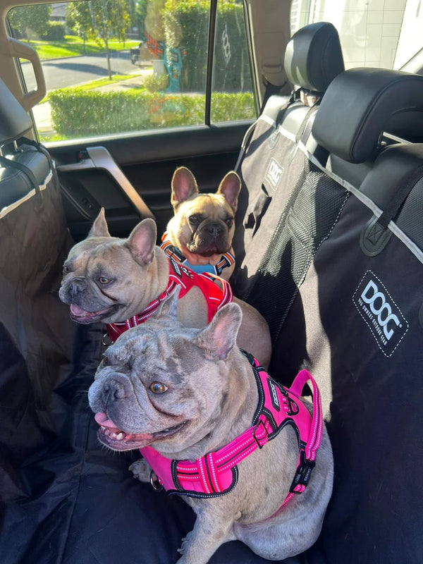 DOOG Dog Car Seat Cover | Rear Bench Seat | Large-Dog Car Seat-DOOG- Silver Circle Pets