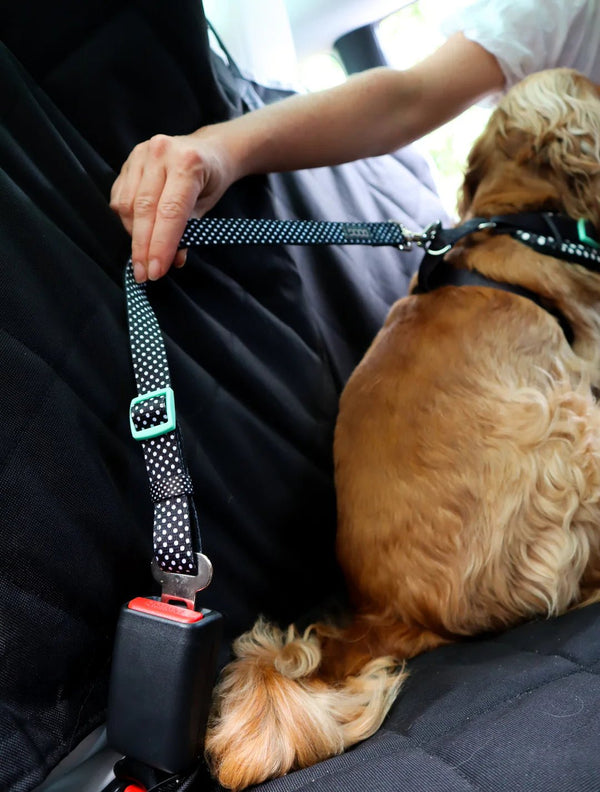 DOOG Dog Car Seat Cover | Rear Bench Seat | Large-Dog Car Seat-DOOG- Silver Circle Pets