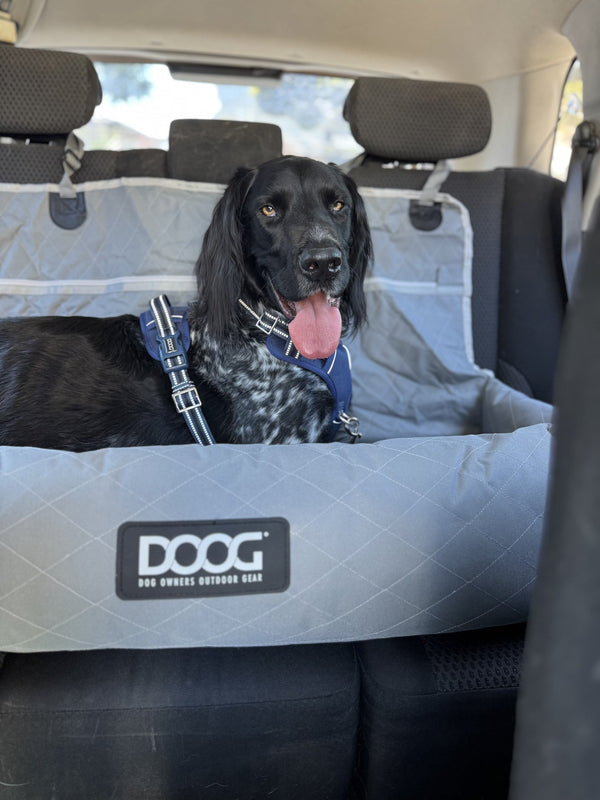 DOOG Dog Car Seat Restraint-Dog Car Seat-DOOG- Silver Circle Pets