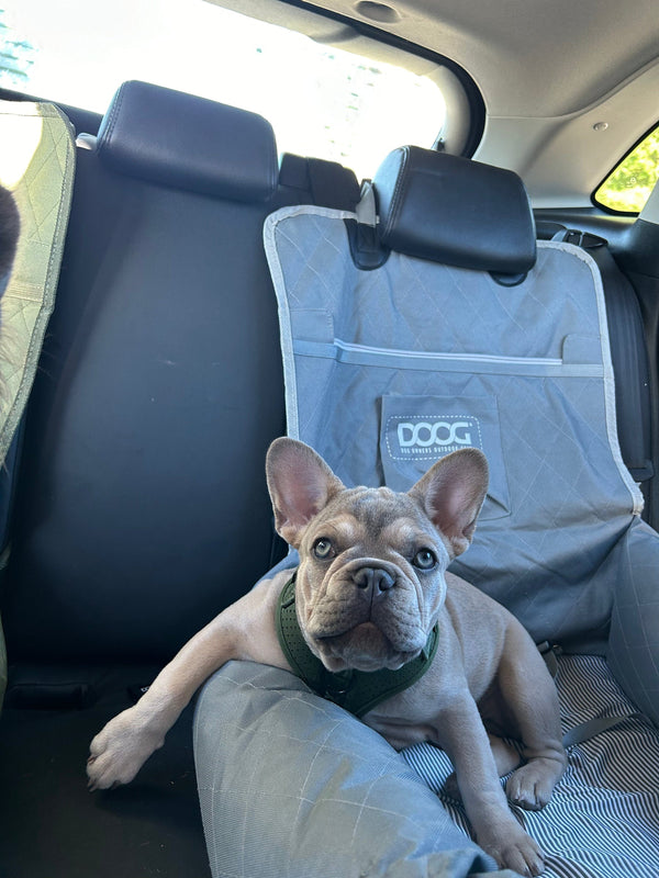 DOOG Dog Car Seat - Small to Medium | 2-in-1 Functionality-Dog Car Seat-DOOG- Silver Circle Pets