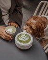 By Teddy Matcha Coffee Cup Dog Toy