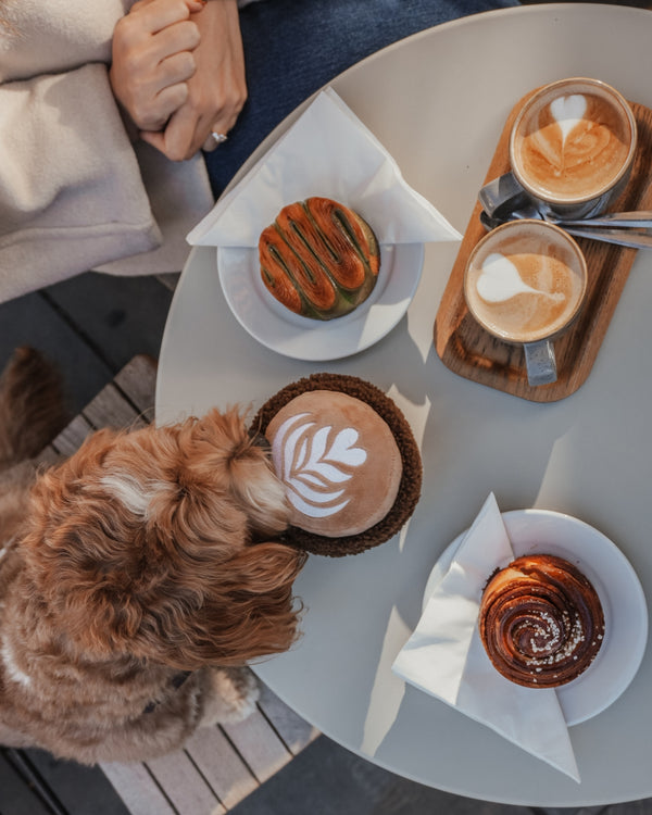 By Teddy Flat White Coffee Cup Dog Toy