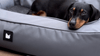 Extreme Lounging B-DogBed | Indoor & Outdoor-Dog Beds-Extreme Lounging- Silver Circle Pets