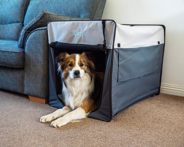 Henry Wag Folding Fabric Travel Pet Crate | 5 Sizes