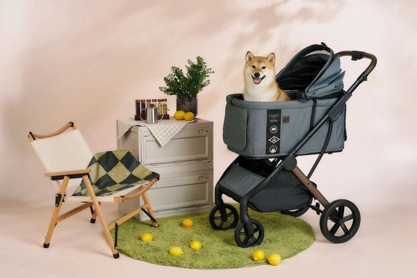 FikaGO Agile 2 Pet Stroller | Auto One-Second Fold-Pet Strollers-FikaGo- Silver Circle Pets