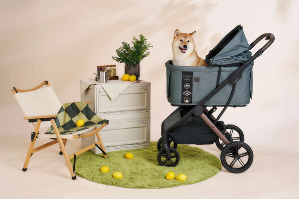 FikaGO Agile 2 Pet Stroller | Auto One-Second Fold-Pet Strollers-FikaGo- Silver Circle Pets