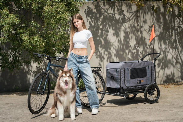 FikaGO King + Queen Pet Wagon | 3-in-1 Wagon & Multi-Size Kennel & Bike Trailer-Pet Trailer-FikaGo- Silver Circle Pets