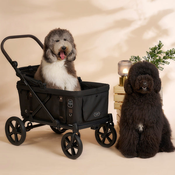 FikaGO KROSS Large Pet Wagon | 100kg Capacity Push & Pull System-Pet Strollers-FikaGo- Silver Circle Pets