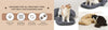 FikaGO Mushroom Pet Stroller Pillow & Curve Cushion-Pet Stroller Accessories-FikaGo- Silver Circle Pets