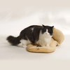 FikaGO Mushroom Pet Stroller Pillow & Curve Cushion-Pet Stroller Accessories-FikaGo- Silver Circle Pets