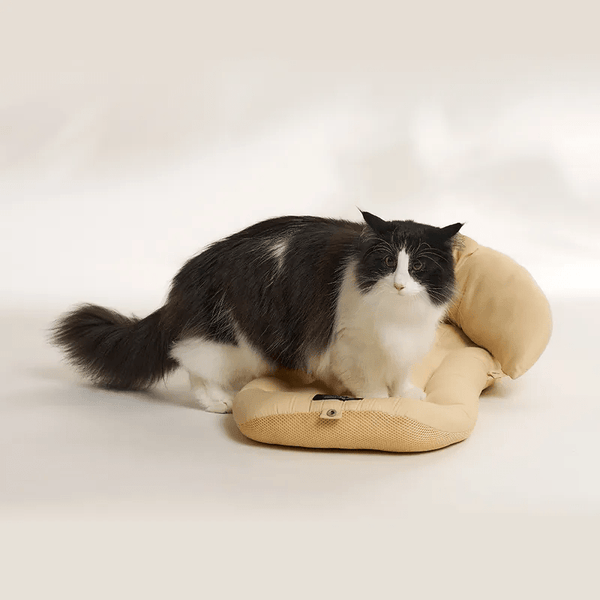 FikaGO Mushroom Pet Stroller Pillow & Curve Cushion-Pet Stroller Accessories-FikaGo- Silver Circle Pets