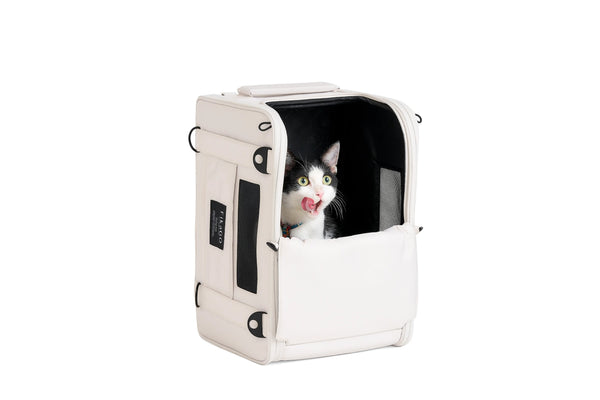 FikaGO Truffle Plus | 6-in-1 Folding Pet Carrier-Pet Carrier-FikaGo- Silver Circle Pets