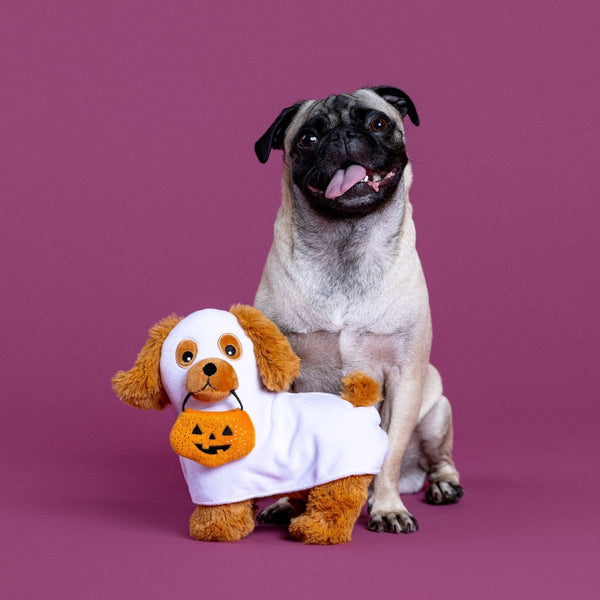 Fringe Studio Hauntin' Hound Plush Dog Toy-Dog Toy-Fringe Studio- Silver Circle Pets