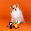 Fringe Studio Oh My Gourd! | 2-Piece Plush Dog Toy Set-Dog Toy-Fringe Studio- Silver Circle Pets