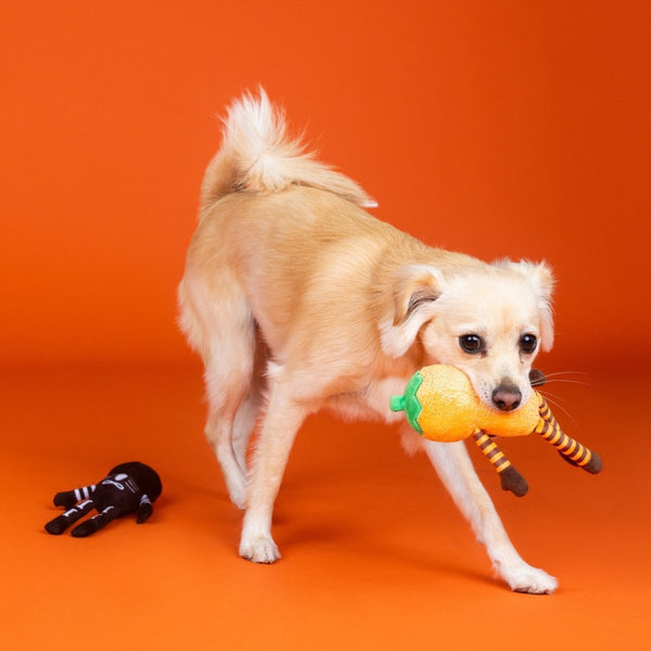 Fringe Studio Oh My Gourd! | 2-Piece Plush Dog Toy Set-Dog Toy-Fringe Studio- Silver Circle Pets