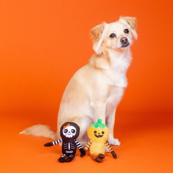 Fringe Studio Oh My Gourd! | 2-Piece Plush Dog Toy Set-Dog Toy-Fringe Studio- Silver Circle Pets