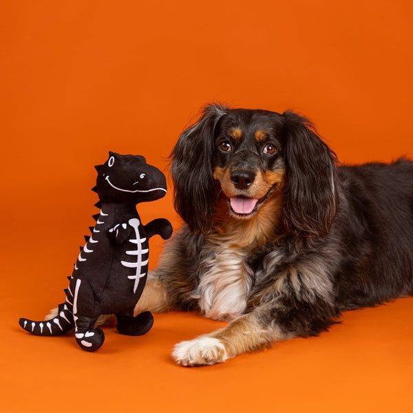 Fringe Studio Trick Rawr Treat Plush Dog Toy | Glow-in-the-Dark-Dog Toy-Fringe Studio- Silver Circle Pets