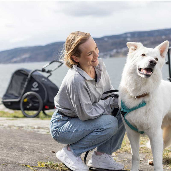 Hamax Pluto Multi-functional Dog Stroller & Dog Bike Trailer | Large-Pet Strollers-Hamax- Silver Circle Pets
