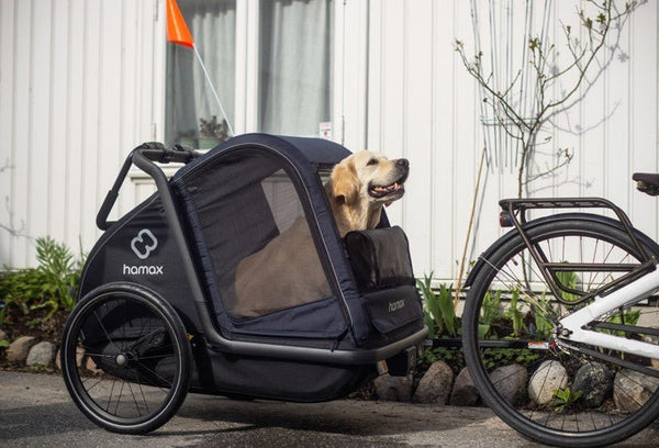 Hamax Pluto Multi-functional Dog Stroller & Dog Bike Trailer | Large-Pet Strollers-Hamax- Silver Circle Pets