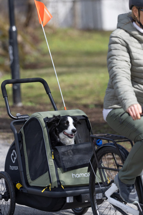 Hamax Pluto Multi-functional Dog Stroller & Dog Bike Trailer | Medium-Pet Strollers-Hamax- Silver Circle Pets
