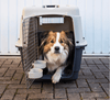 Henry Wag Wheeled Airline Approved Travel Crate | Four Sizes-Pet Crate-Henry Wag- Silver Circle Pets