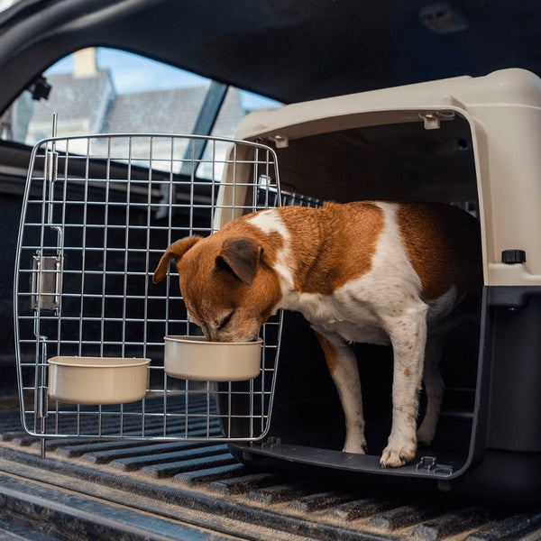 Henry Wag Wheeled Airline Approved Travel Crate | Four Sizes-Pet Crate-Henry Wag- Silver Circle Pets