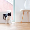 Hoopo Dome Cat Litter Box-Cat Litter Box-Hoopo- Silver Circle Pets