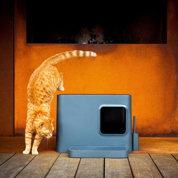 Hoopo Dome Plus Cat Litter Box-Cat Litter Box-Hoopo- Silver Circle Pets