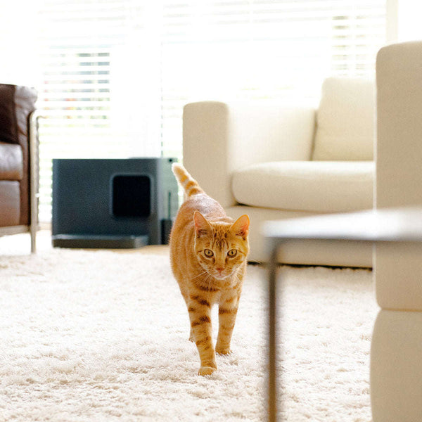 Hoopo Dome Plus Cat Litter Box-Cat Litter Box-Hoopo- Silver Circle Pets