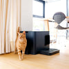 Hoopo Dome Plus Cat Litter Box-Cat Litter Box-Hoopo- Silver Circle Pets