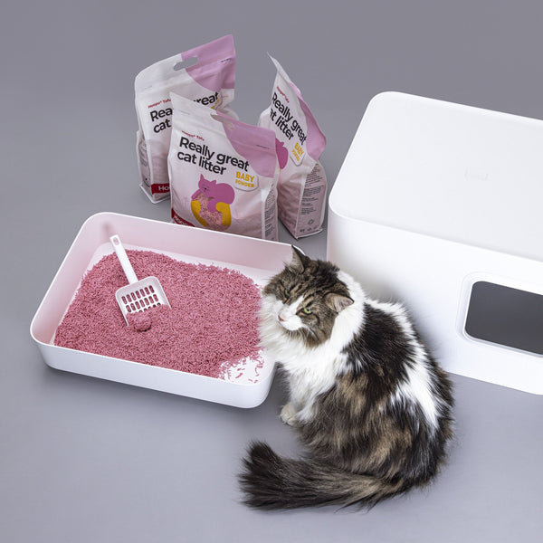 Hoopo Tofu Baby Powder Cat Litter | 7L, 17L-Cat Litter-Hoopo- Silver Circle Pets