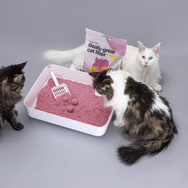 Hoopo Tofu Baby Powder Cat Litter | 7L, 17L-Cat Litter-Hoopo- Silver Circle Pets