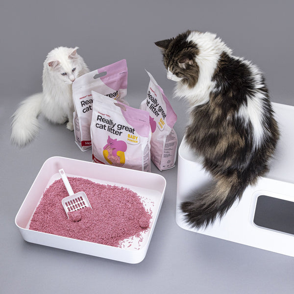 Hoopo Tofu Baby Powder Cat Litter | 7L, 17L-Cat Litter-Hoopo- Silver Circle Pets