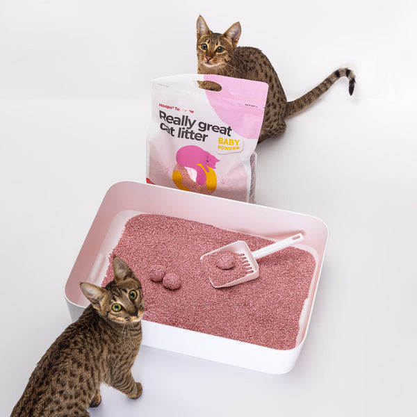 Hoopo Tofu Fine Baby Powder Cat Litter | 7L, 17L-Cat Litter-Hoopo- Silver Circle Pets