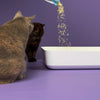 Hoopo Tofu Natural Cat Litter | 17L-Cat Litter-Hoopo- Silver Circle Pets