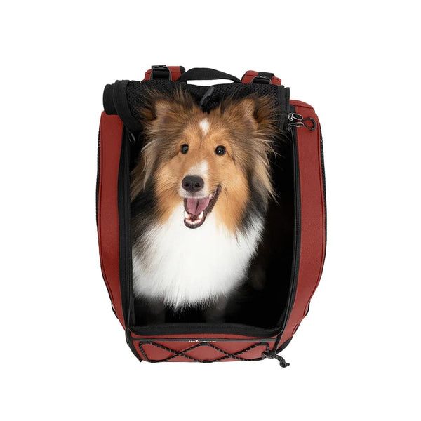 Ibiyaya 3-in-1 Champion Large Backpack Dog Carrier-Pet Carrier-Ibiyaya- Silver Circle Pets