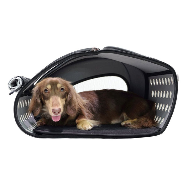 Ibiyaya 4-in-1 Pet Carrier & Trolley-Pet Accessories-Ibiyaya- Silver Circle Pets
