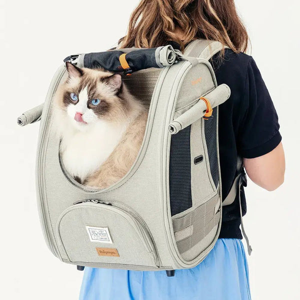 Ibiyaya Adventure Cat Carrier Backpack | Airline-Approved-Pet Accessories-Ibiyaya- Silver Circle Pets